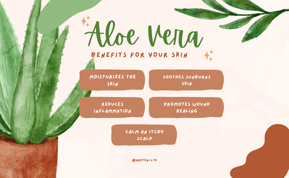 Aloe Vera benifits for skin