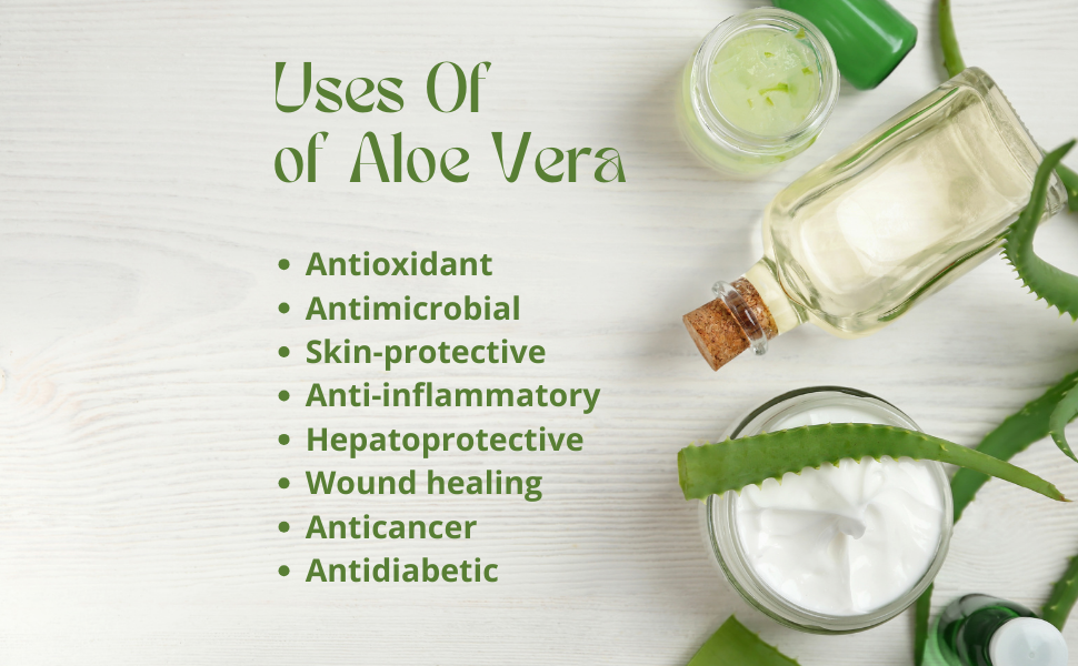 Uses OF Aloe vera